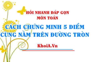 Cách chứng minh 5 điểm (các điểm) cùng nằm trên một đường tròn lớp 9? Hỏi nhanh đáp gọn môn Toán